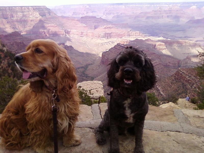 My Good Boys!